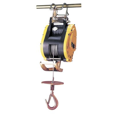 CWS electric hoist